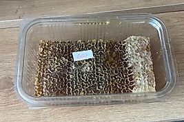 Doğal /Petek Balı (Brüt ~600g)