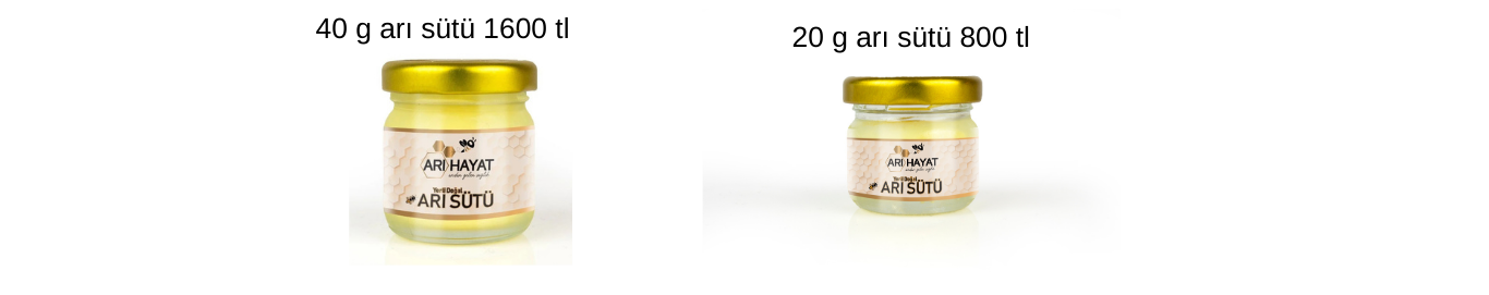 arı sütü